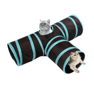 Tunnel d’exploration format en T pour chat